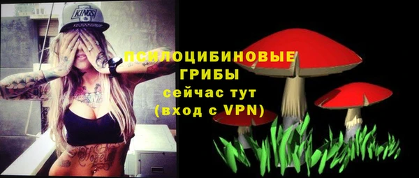молекула духа Аркадак