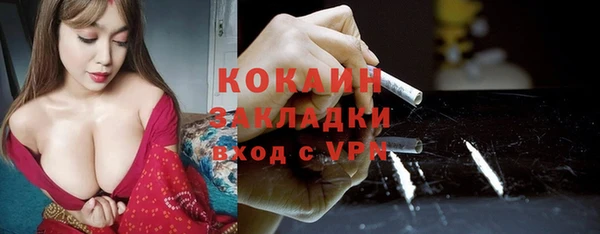 сатива Арсеньев