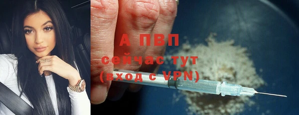 сатива Арсеньев