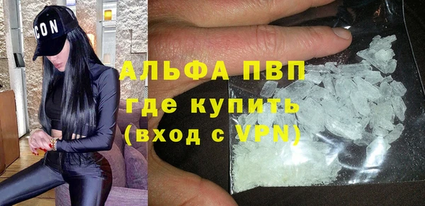 сатива Арсеньев