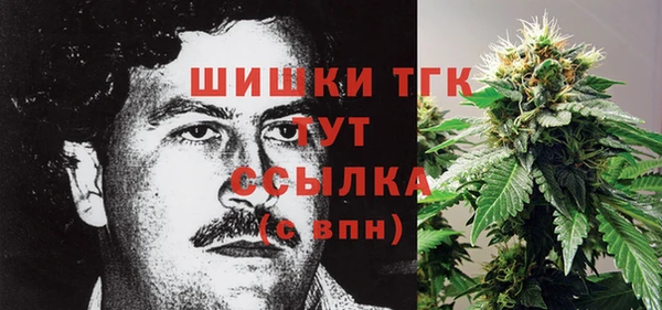 трава Армянск
