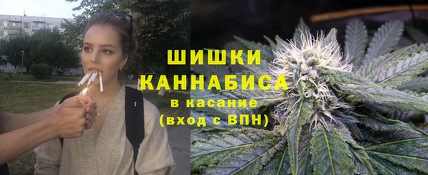 сатива Арсеньев