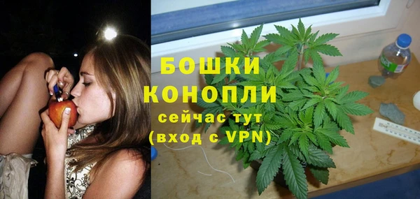 трава Армянск