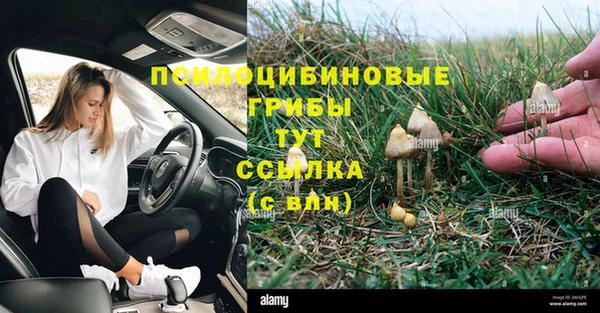 трава Армянск