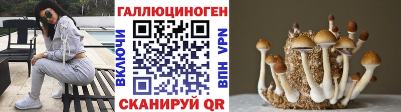 маркетплейс клад  хочу   Инза  Псилоцибиновые грибы MAGIC MUSHROOMS 