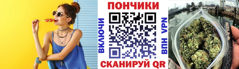 Бошки марихуана ГИДРОПОН  продажа наркотиков  Инза 